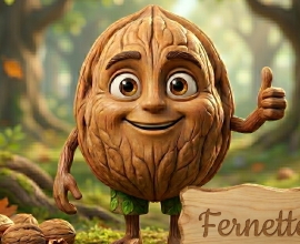Walnussbaum veredelt ‚Fernette‘